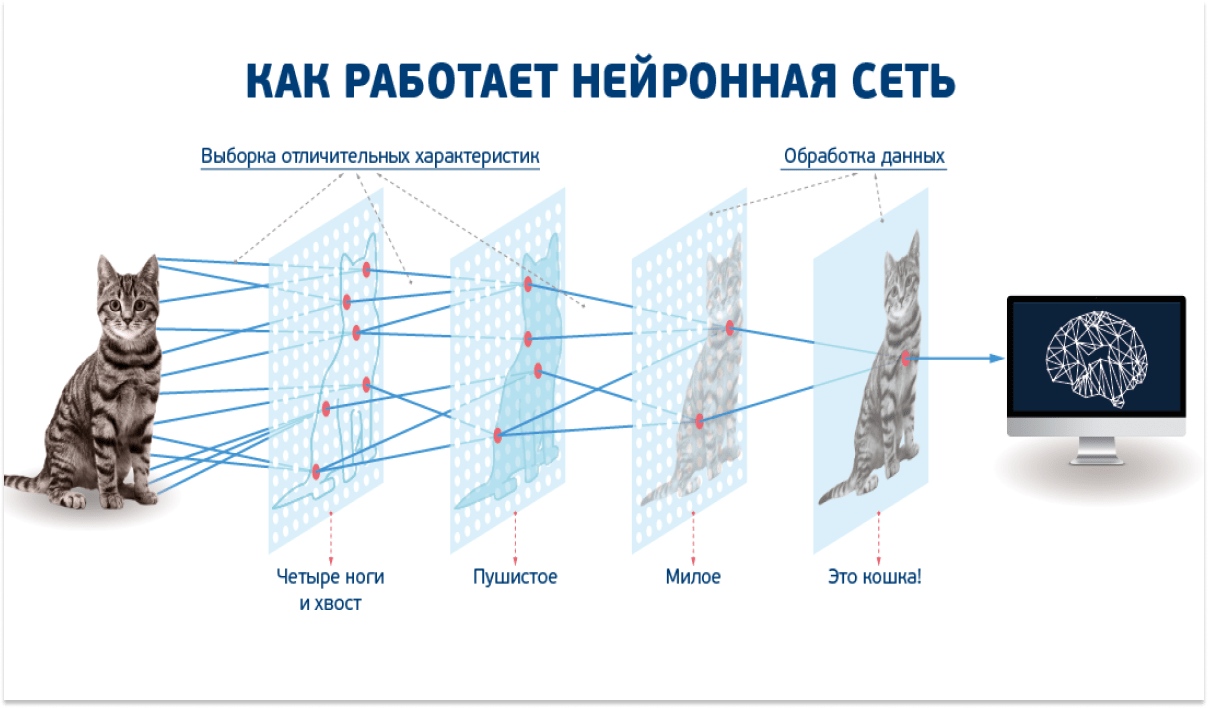 Photo of Лайфхаки для более эффективного дегидратора